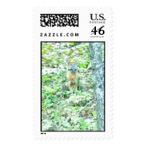 find foxy... postage by Ashlum find foxy... postage