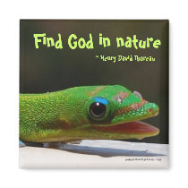 Find God in nature magnets by Rebecca_Reeder Find God in nature magnets