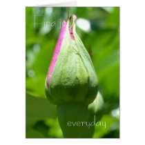 Find Joy Everyday cards