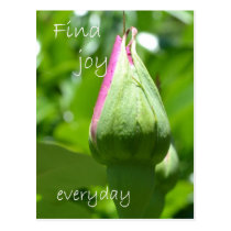 Find Joy Everyday postcards