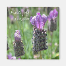 Find Joy magnets