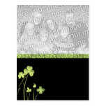 Find your 4 leafed clover post cards