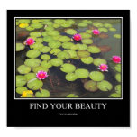 Find your beauty posters