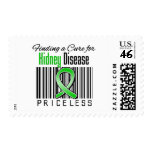 Finding a Cure For Kidney Disease PRICELESS postage