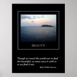 Finding Beauty poster