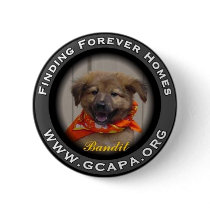 Finding Forever Homes buttons by GCAPAORG Finding Forever Homes buttons