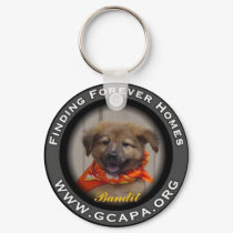 Finding Forever Homes keychains