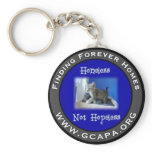 Finding Forever Homes keychains