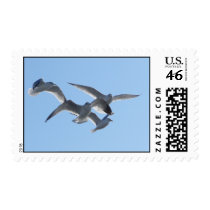 Finding Your Wings Stamps