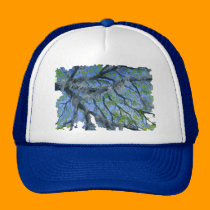 Fine Art: Louisiana Oak Tree with Moss hats