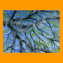 Fine Art: Moss on a Louisiana Oak Tree posters