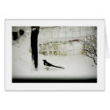 Fine-art Photo magpie in snow by tree cards by eyecontact Fine-art Photo magpie in snow by tree cards