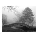 Fine Art Photography -