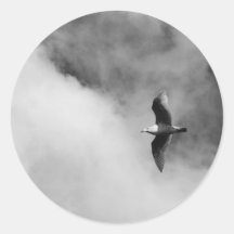 Fine Art Print of Seagull Flying in Clouds Sticker