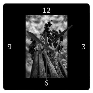 Fine Art: Surreal Trees Square Wall Clocks