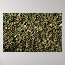 Fine herbs posters