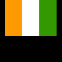 Fine Irish Lass t-shirts