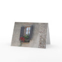 Finestra Di Villa, Toscana, Italia cards by pattirm1 Finestra Di Villa, Toscana, Italia cards