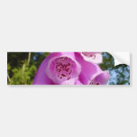 Finger Purple Flower In Field Bumper Stickers