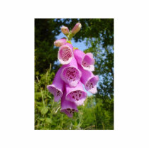 Finger Purple Flower In Field photo sculptures