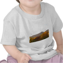 Finger Rock - Catalina Mountains - Tucson Arizona T-shirts