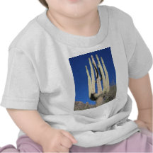 Finger Rock Trail Saguaro Tucson Arizona Tee Shirt