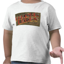 Fingerlakes, New York - Large Letter Scenes Shirt