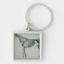 Finished Study for the Fifth Anatomical Table Key Chains