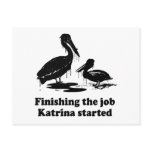 FINISHING THE JOB KATRINA STARTED POSTCARDS