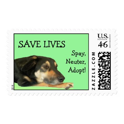 FINN1397, SAVE LIVES, Spay, Neuter,Adopt! Postage by laducb