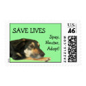 FINN1397, SAVE LIVES, Spay, Neuter,Adopt! postage by laducb FINN1397, SAVE LIVES, Spay, Neuter,Adopt! postage