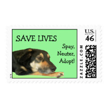 FINN1397, SAVE LIVES, Spay, Neuter,Adopt! Postage