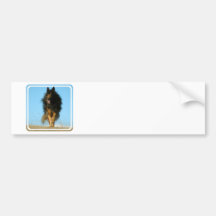 Finnish Lapphund Dog Bumper Sticker