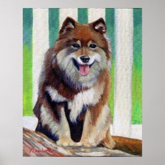 Finnish Lapphund Dog Portrait print