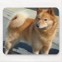 Finnish Spitz Mousepad mousepads