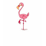 Finny Flamingo Tshirts