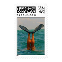 fins up postage