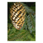 Fir tree fruit (abies species) invitations
