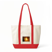 Fire 1 Bag