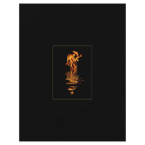 fire and water flyers by Onomonopia fire and water flyers