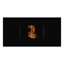 fire and water photo cards by Onomonopia fire and water photo cards
