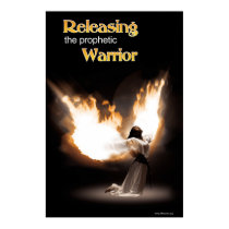 Fire Angel Poster posters
