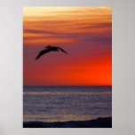 Fire At Sunset Poster