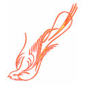 Fire Bird t-shirts