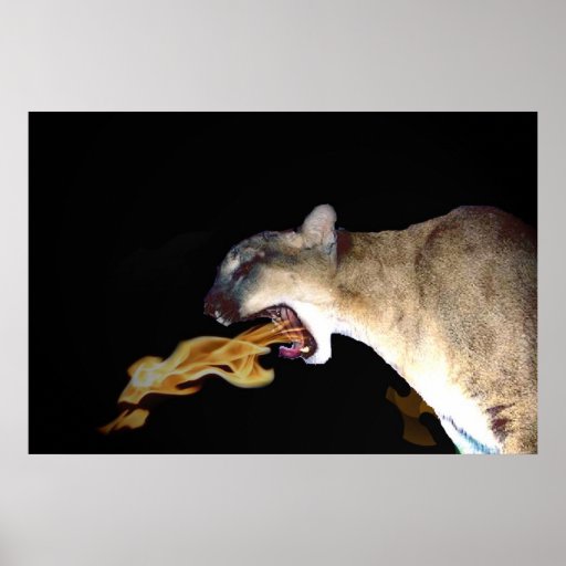 Fire Breathing Cougar Poster Zazzle 