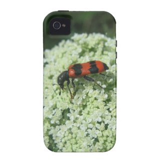 Fire Bug iPhone 4/4S Cover