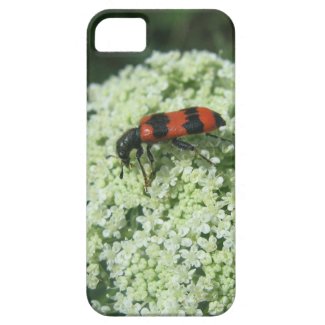 Fire Bug iPhone 5 Cases