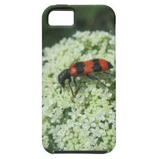 Fire Bug iPhone 5 Covers