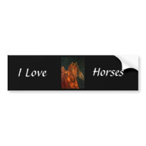 Fire Bumper Sticker