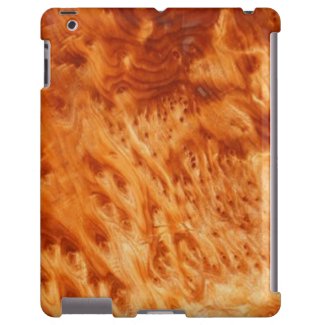 Fire Burl Woodgrain iPad case